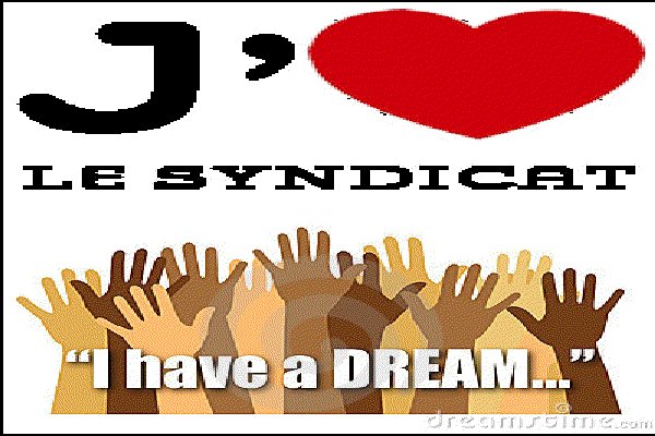 syndicat dream