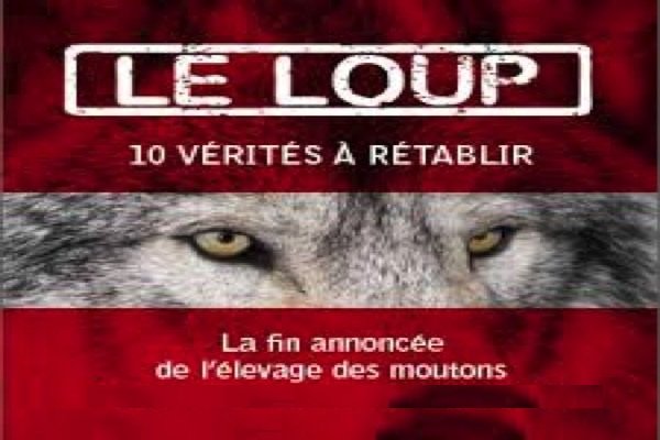 LOUPS_moutons_600x400
