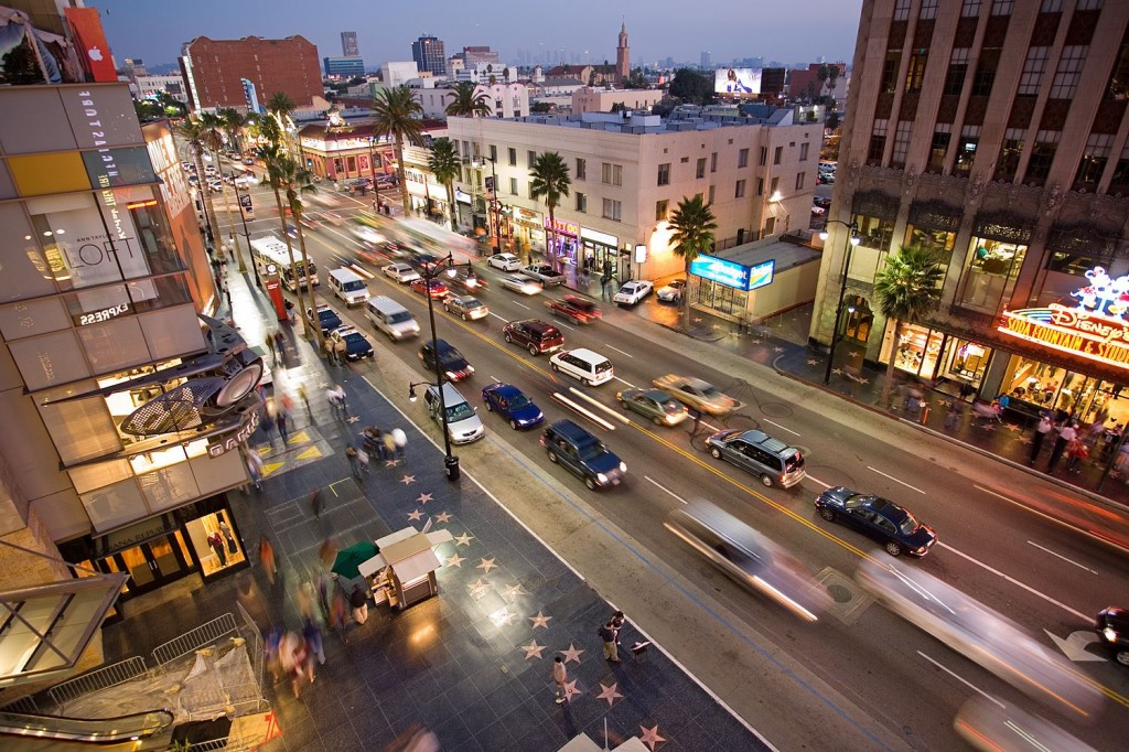 Hollywood rue