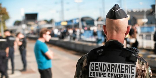 cotes-d-armor-vaste-controle-de-gendarmerie-dans-les-gares_4200879_540x270p