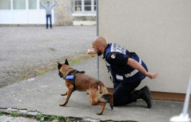 640x410_un-gendarme-et-son-chien-lors-d-un-exercice-au-centre-national-d-instruction-cynophile-de-la-gendarmerie-a-gramat-le-12-mai-2016