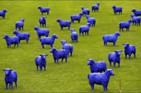 moutons200