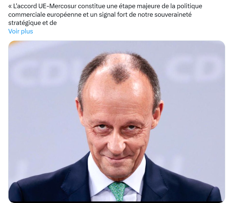 Mercosur : la responsabilité du gouvernement est totale, il a refusé de contester le coup d’État de Von der Leyen qui a séparé le volet commercial et le volet politique du traité