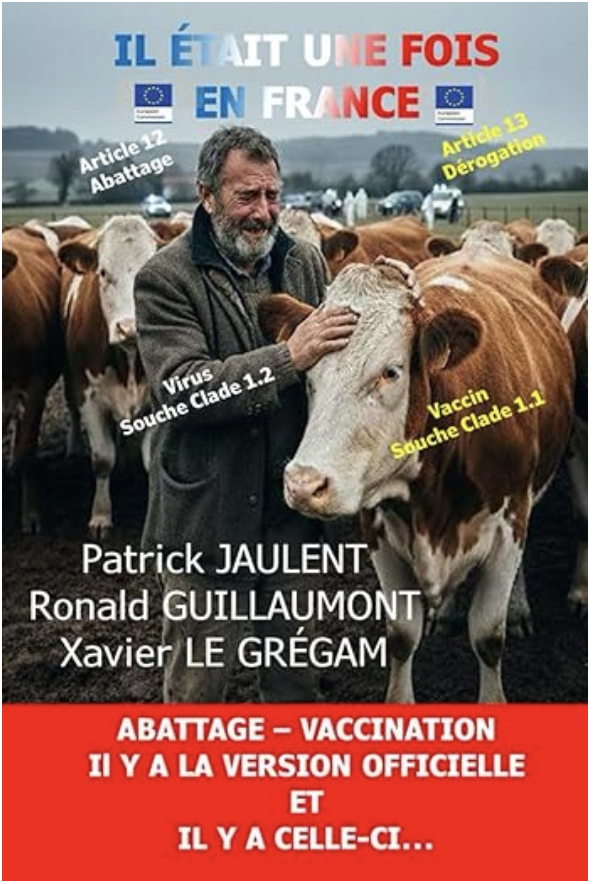 Il était une fois en France
