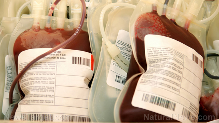 Des banques de sang non vaccinées ? Découvrez le mouvement croissant pour des transfusions propres…
