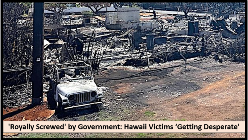Hawaï : Les Victimes des Incendies Rejetées !