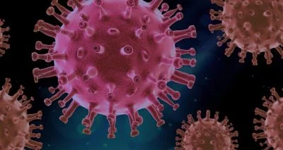 Il n’y a jamais eu de « nouveau virus », il n’y a jamais eu de pandémie